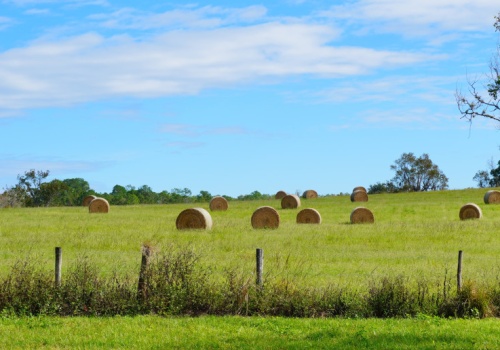 463 hektarów sprzedane magnatowi hotelowemu. Rolnik podał jeden powód