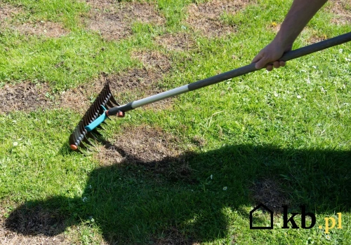 Skosił trawnik zaraz po zimie i po tygodniu pojawiły się żółte plamy – dopiero później sprawdził temperaturę gleby