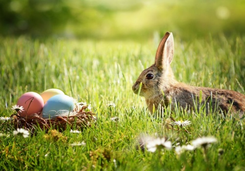 Ładne życzenia wielkanocne po niemiecku. Krótkie, religijne, śmieszne, jest w czym wybierać!