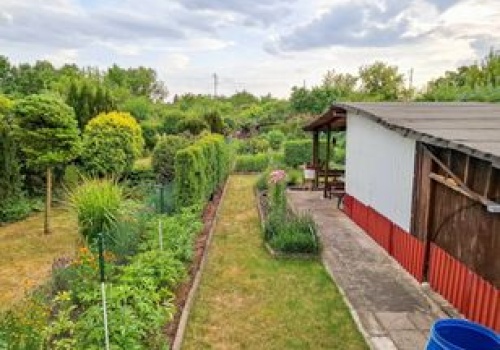 Zrobisz tak na działce i już tam nie wejdziesz. Bolesne konsekwencje