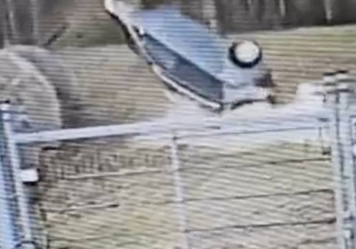 Miała trzy promile, wiozła trzylatkę i gapiła się w telefon. Dachowała