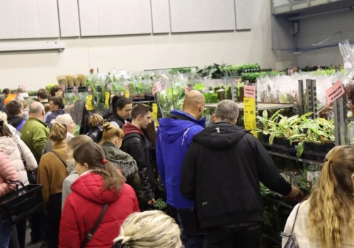 Kraków znów przyciągnie miłośników zieleni. Festiwal Roślin nadchodzi