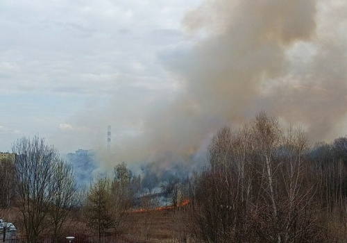 Pożar traw przy ul. Bursztynowej w Lublinie. Trwa akcja strażaków