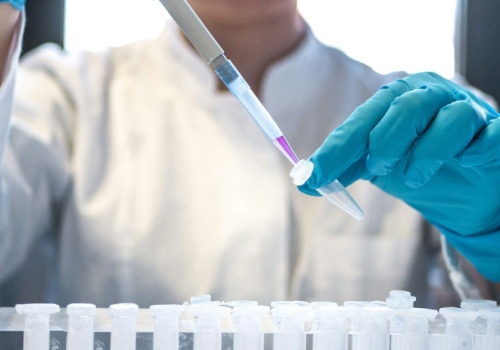 Można zamrozić mózg i przywrócić go do życia. Przełom w badaniach