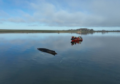 Humbak utknął w Bałtyku. Akcja ratunkowa nie przynosi skutków, Niemcy bezradni