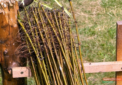 Polska wiklina podbija zagraniczne rynki. Tradycyjne rzemiosło rośnie dzięki eksportowi i e-commerce
