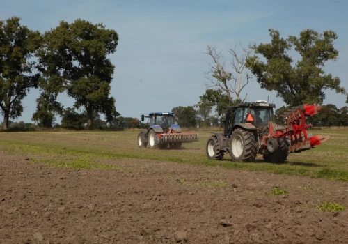 Wielkopolskie rolnictwo urosło na unijnych pieniądzach. Teraz gra toczy się o drugi filar