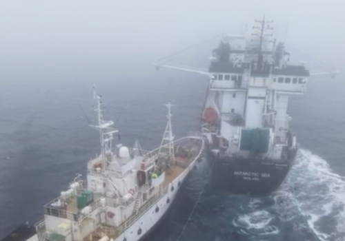 Ekoterroryzm. Statek aktywistów staranował kuter legalnie łowiący kryla