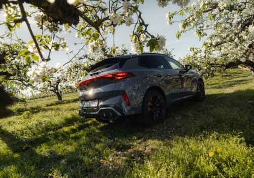 Wiosenny przegląd auta: 5 rzeczy, o których nie możesz zapomnieć