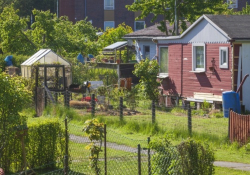 Ogródki działkowe biją rekordy cen. Nawet 500 tys. zł za altanę