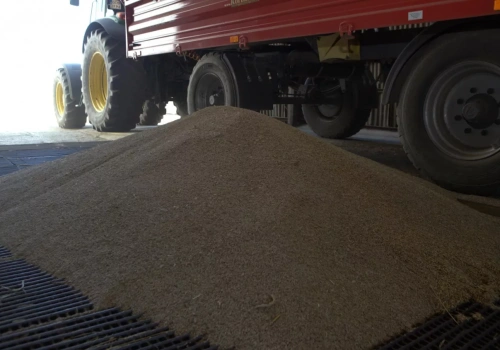 Wzrasta eksport pszenicy z Rosji i Ukrainy, rosną także koszty. Co z cenami zbóż w kraju?