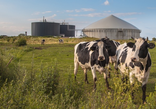 Biometan czeka na przełom. Sieć jest gotowa, rynek wciąż nie