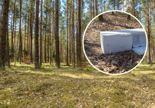 Leśnicy pokazali zdjęcie i grzmią. 