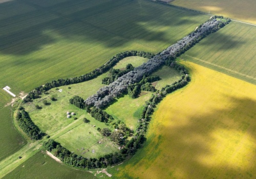 Chciał, by ukochana zobaczyła to z nieba. W Bieszczadach też jest taki znak