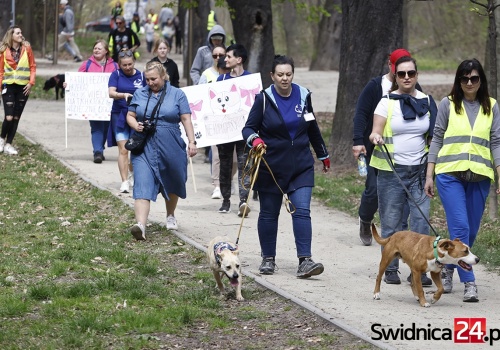 Bezdomniaki z Pogodnej znów przemaszerują przez miasto. Będą zachęcać do adopcji