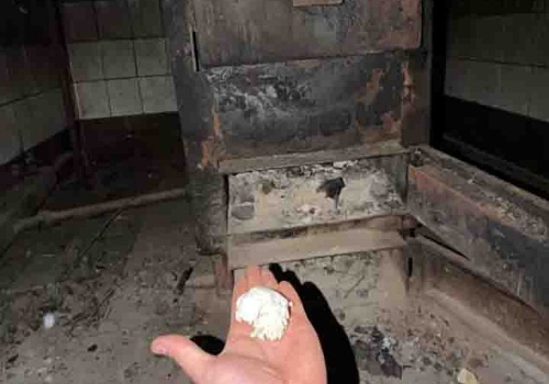 Zielona Góra. Pseudohodowla jak z horroru, psy i koty zabijano uderzeniem w głowę i palono w piecu