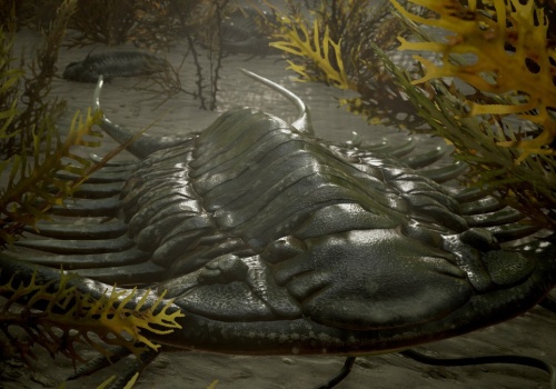 Chińczycy ogłaszają: Ziemia rozmarzła, doszło do eksplozji życia