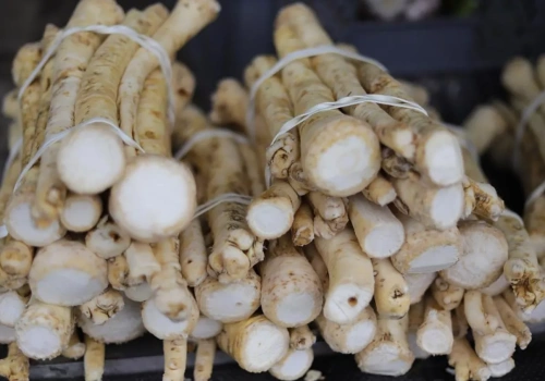 Jak uprawiać chrzan? Sprawdź, ile można na nim zarobić