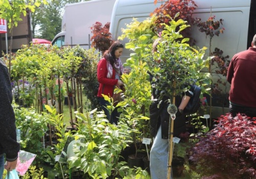 Zamek w Bykach zakwitnie na wiosnę. Nadchodzą XIX Piotrkowskie Targi Ogrodnicze!