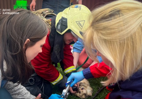 Prawie 600 dronów i rakiet wystrzelonych na Ukrainę