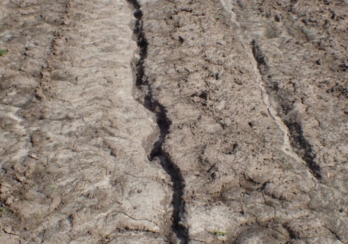 Niewidzialny problem na polach. Erozja zabiera żyzność gleby