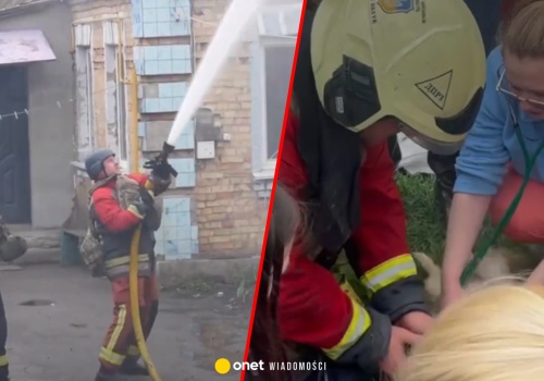 Zwierzęta ofiarami rosyjskich nalotów. Pociski uderzyły w klinikę weterynaryjną w Ukrainie