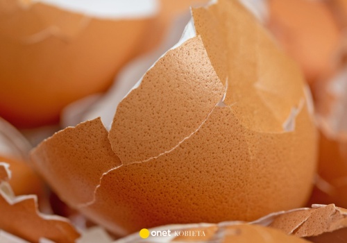 Nie wyrzucaj skorupek z jajek. Rozsyp je w ogrodzie