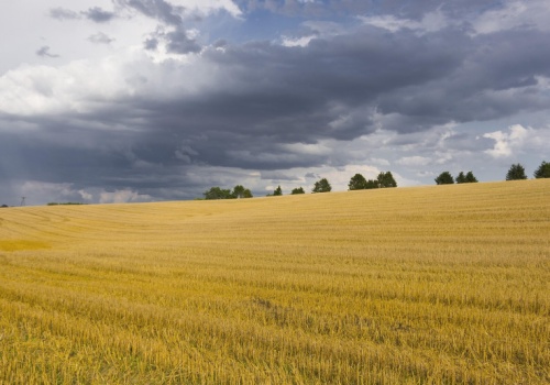Holding wykupił spółkę z areałem 190 tysięcy hektarów ziemi. Za 348 milionów dolarów
