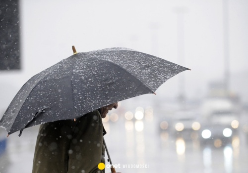 Zielona Góra. Sprawdź prognozę pogody w dniu 04.04.2026