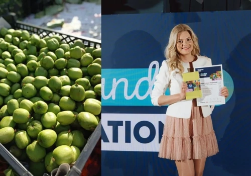 Uprawa minikiwi wymaga odwagi, zaradności i pomysłu. Czy warto?