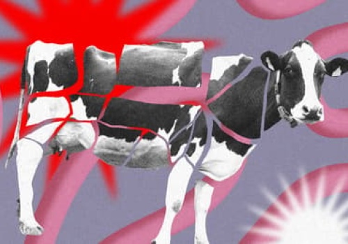 Czy mięso sprzyja nowotworom? Bez wątpienia