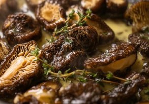 To najdroższe grzyby rosnące w Polsce. Właśnie zaczyna się sezon, a znajdziesz je w tych miejscach