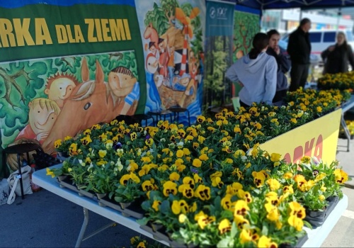 Sadzonki drzew i bratki w zamian za odpady. Wkrótce kolejna akcja Arki