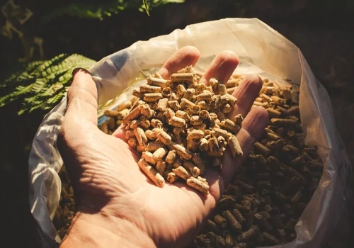 Pellet iglasty czy liściasty? Ten wybór robi realną różnicę