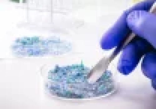 Mikroplastiku mniej, niż sądzono. Plastikowe rękawiczki i błędne liczenie próbek