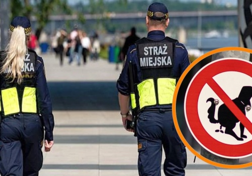 Koniec taryfy ulgowej. Straż Miejska zacznie surowo karać za niesprzątanie po psach