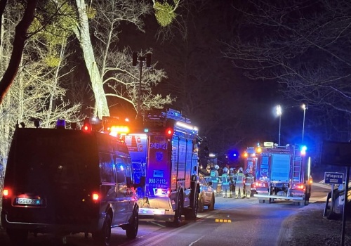 Zjechali z prostej drogi do rzeki. Tragiczny wypadek w Kępicach