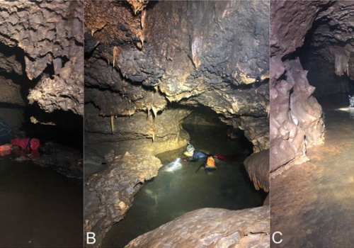 Odkryli w jaskini dziwne skamieliny. Nie powinno ich tam być