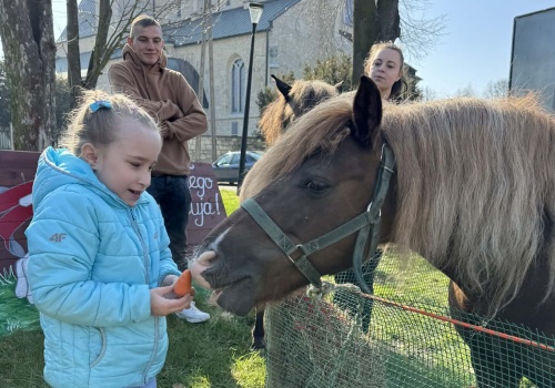 Unikalna Zagroda Zajączka Wielkanocnego