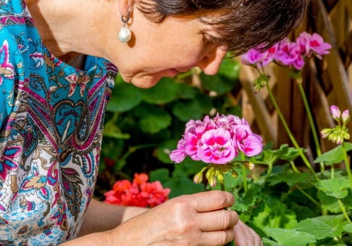 Najmodniejsze kwiaty PRL-u znów na topie. Sąsiadki nie odrywają wzroku