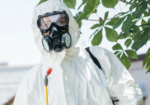 Plaga owadów zalewa Niemcy. Inwazja wymyka się spod kontroli