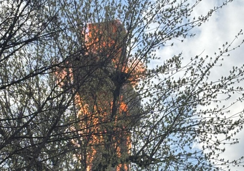 Dlaczego spłonął krzyż? Znamy policyjne ustalenia