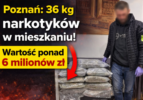 POZNAŃ: 36 kg narkotyków w mieszkaniu! Wartość? Ponad 6 milionów zł! Wpadł poszukiwany 40-latek