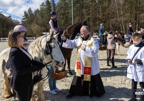 Wielkanocny koszyk z wysokości końskiego grzbietu