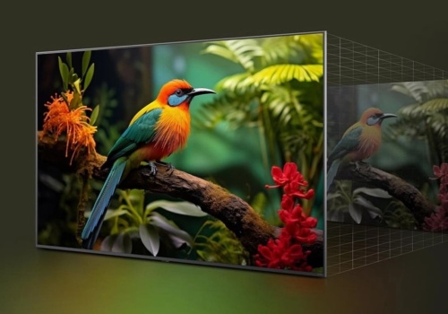 65 cali LG QNED za 1999 zł. RTV Euro AGD z promocją na telewizor