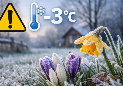 Wielkanoc z przymrozkami. Nawet -3°C przy gruncie