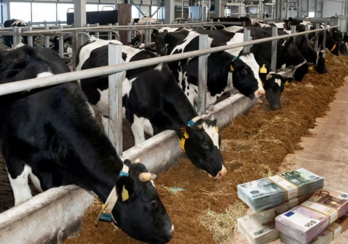 Kto naprawdę ustala ceny skupu mleka?