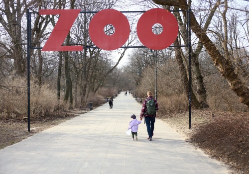 Droższy wstęp, ale więcej atrakcji. Warszawskie zoo podnosi ceny biletów