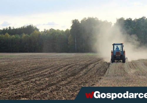 300 tys. zł dla młodych rolników. Oto warunki, które trzeba spełnić