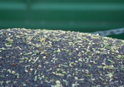 Europejscy rolnicy protestują odczuwając negatywne skutki decyzji dotyczących Ukrainy